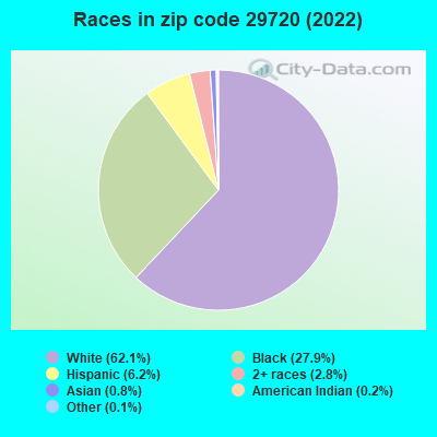 Races in zip code 29720 (2019)