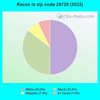 Races in zip code 29728 (2022)