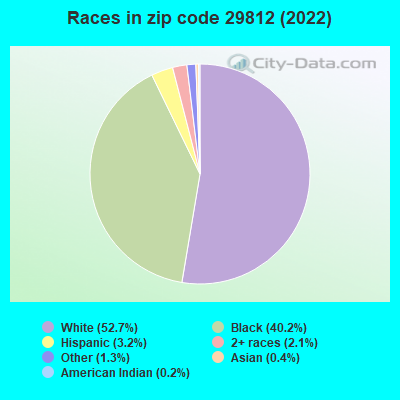 Races in zip code 29812 (2019)