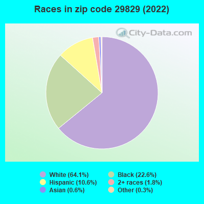 Races in zip code 29829 (2019)