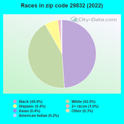 Races in zip code 29832 (2019)
