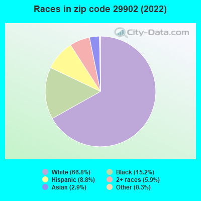 Races in zip code 29902 (2019)