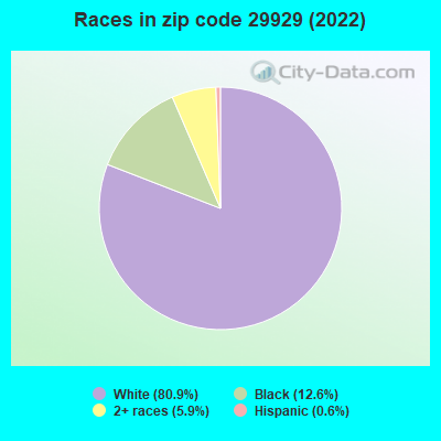 Races in zip code 29929 (2019)