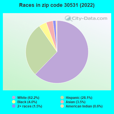 Races in zip code 30531 (2022)