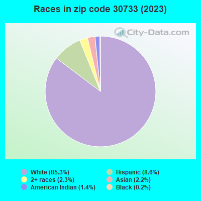 Races in zip code 30733 (2022)