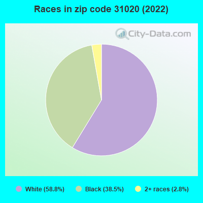 Races in zip code 31020 (2019)