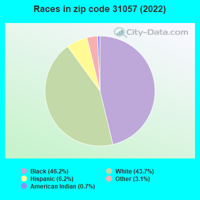 Races in zip code 31057 (2019)
