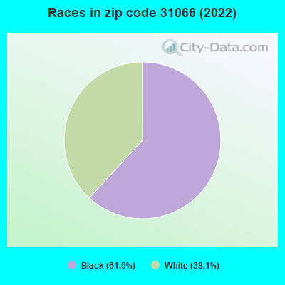 Races in zip code 31066 (2022)