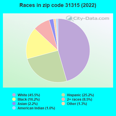 Races in zip code 31315 (2022)