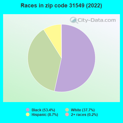 Races in zip code 31549 (2022)