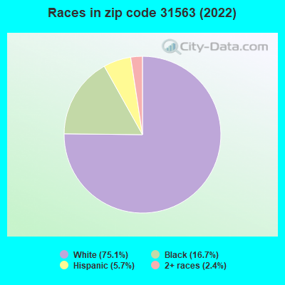 Races in zip code 31563 (2019)