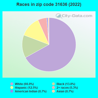 Races in zip code 31636 (2022)
