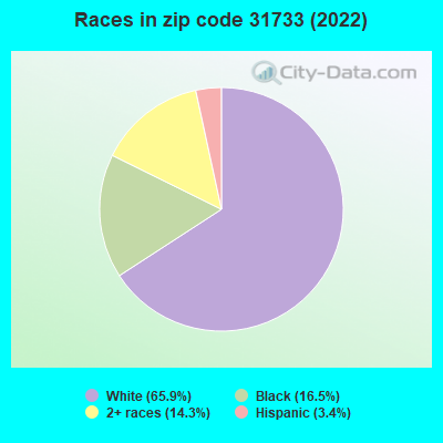 Races in zip code 31733 (2022)