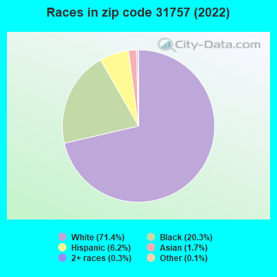 Races in zip code 31757 (2022)