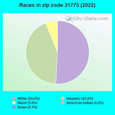 Races in zip code 31775 (2022)