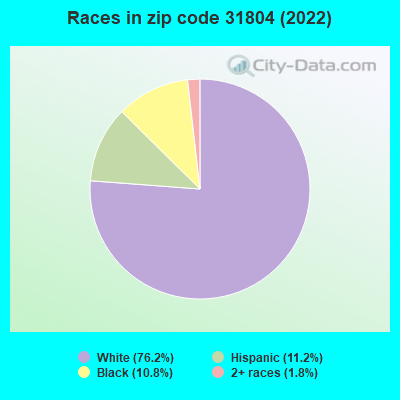 Races in zip code 31804 (2019)