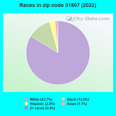 Races in zip code 31807 (2019)