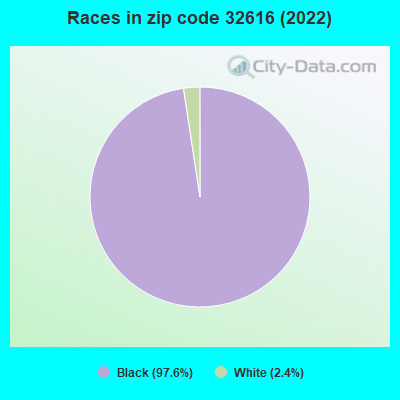Races in zip code 32616 (2019)