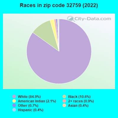 Races in zip code 32759 (2022)