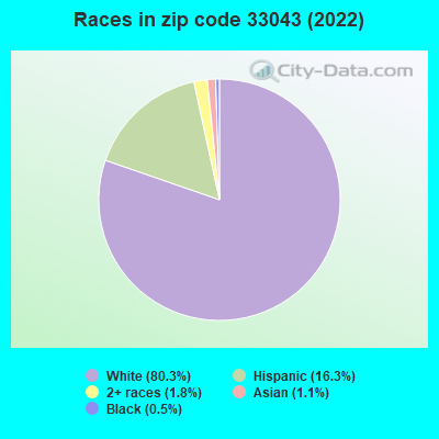 Races in zip code 33043 (2022)