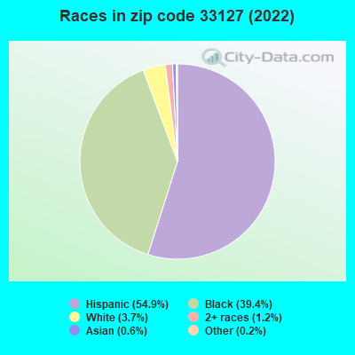Races in zip code 33127 (2021)