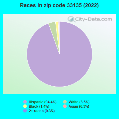Races in zip code 33135 (2021)