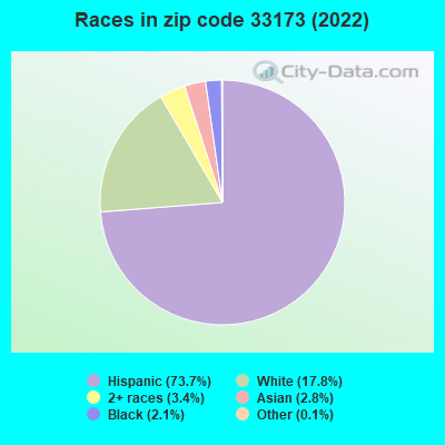 Races in zip code 33173 (2021)