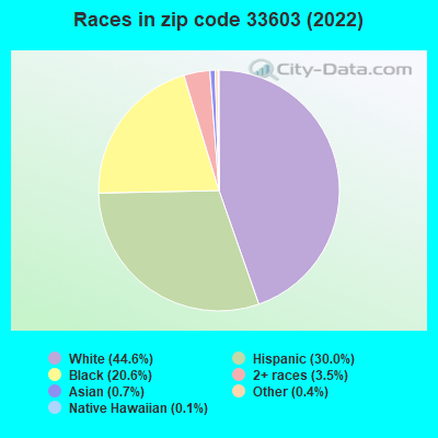 Races in zip code 33603 (2021)