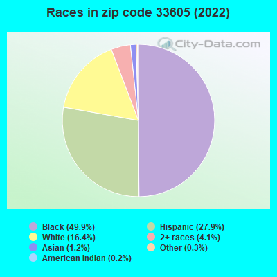 Races in zip code 33605 (2019)