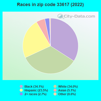 Races in zip code 33617 (2021)