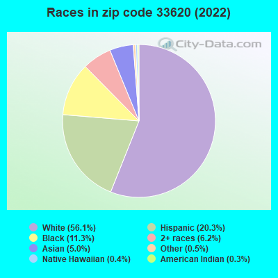 Races in zip code 33620 (2022)