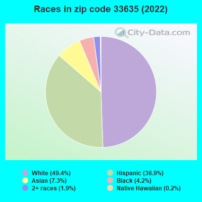 Races in zip code 33635 (2019)