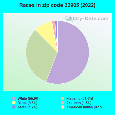Races in zip code 33905 (2019)