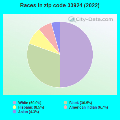 Races in zip code 33924 (2022)