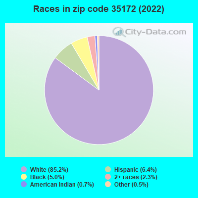 Races in zip code 35172 (2019)
