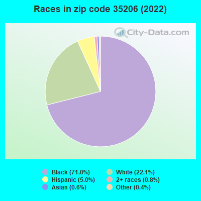 Races in zip code 35206 (2022)