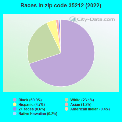 Races in zip code 35212 (2021)