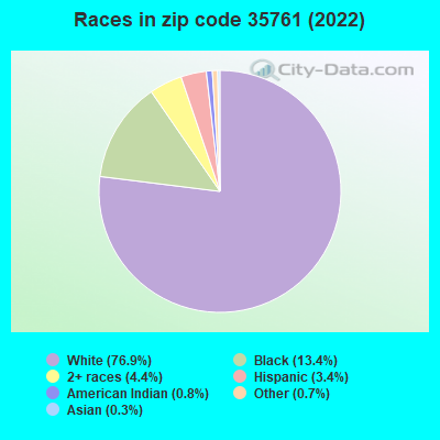Races in zip code 35761 (2019)