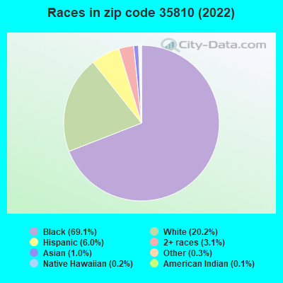 Races in zip code 35810 (2019)