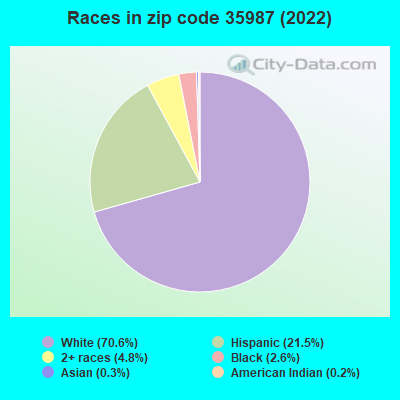 Races in zip code 35987 (2019)