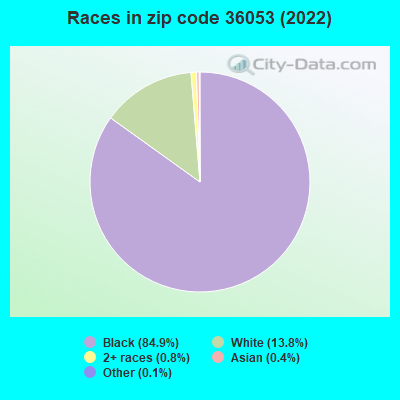 Races in zip code 36053 (2019)