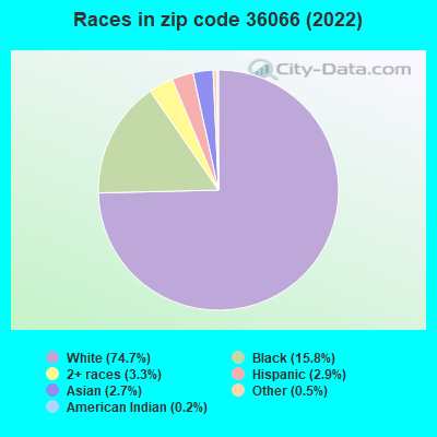 Races in zip code 36066 (2022)