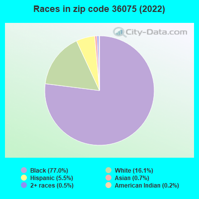Races in zip code 36075 (2022)