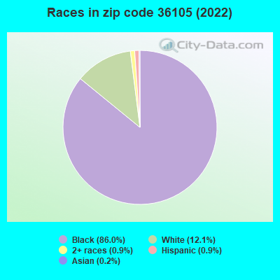 Races in zip code 36105 (2022)