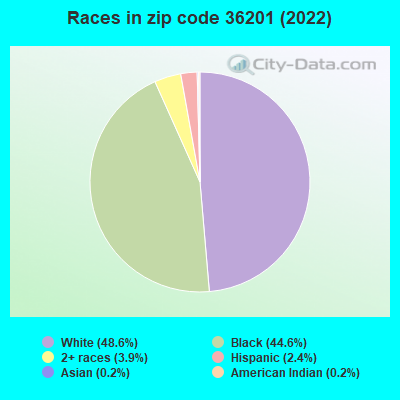Races in zip code 36201 (2022)