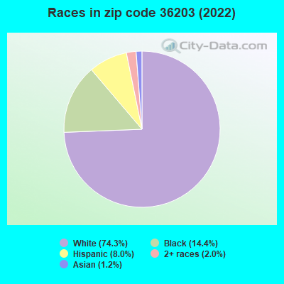 Races in zip code 36203 (2021)