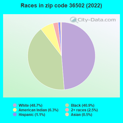 Races in zip code 36502 (2022)