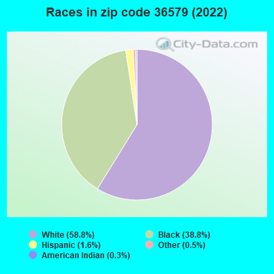 Races in zip code 36579 (2022)