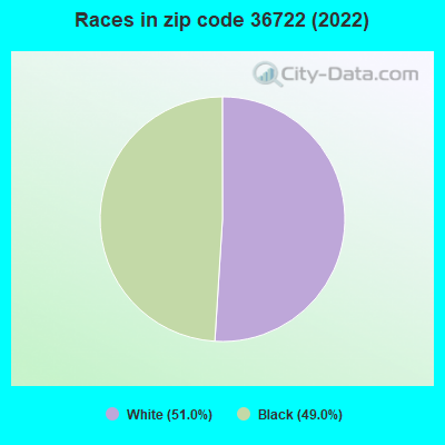 Races in zip code 36722 (2022)