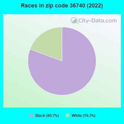 Races in zip code 36740 (2022)
